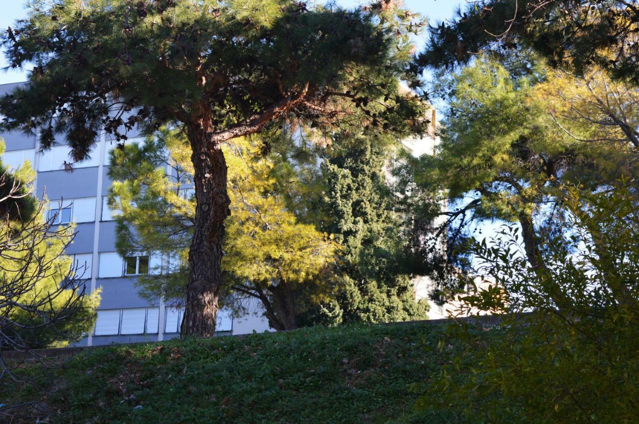 Studio Two Roses Split Exterior foto